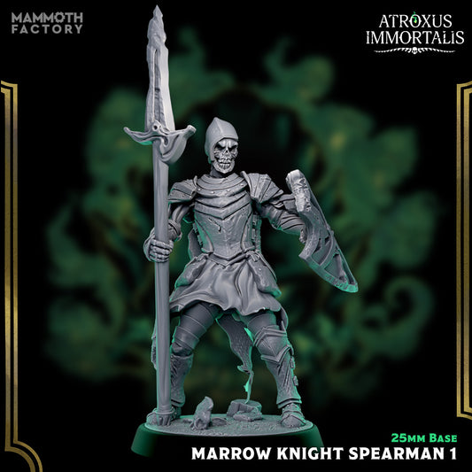 Image shows a 3D render of a skeleton warrior gaming miniature holding a spear