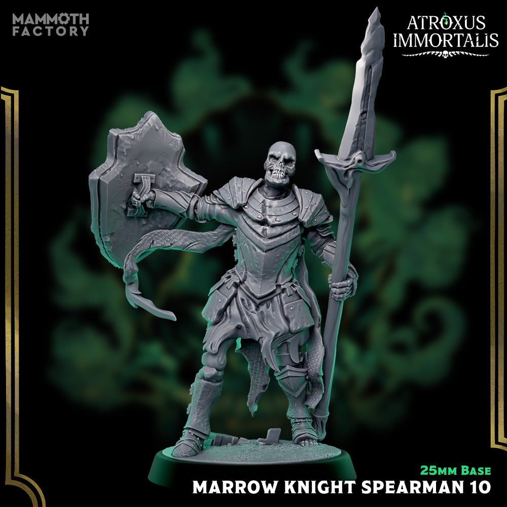 Image shows a 3D render of a skeleton warrior gaming miniature holding a spear and shield