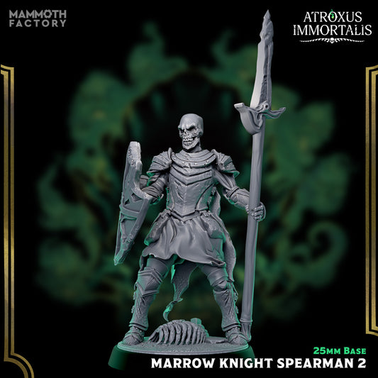 Image shows a 3D render of a skeleton warrior gaming miniature holding a spear