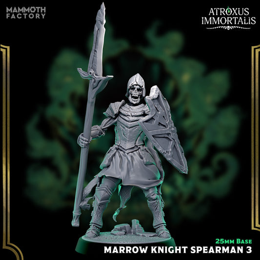 Image shows a 3D render of a skeleton warrior gaming miniature holding a spear