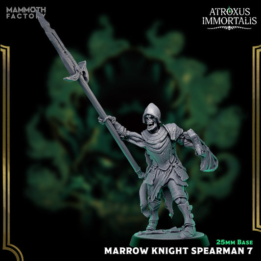 Image shows a 3D render of a skeleton warrior gaming miniature holding a spear