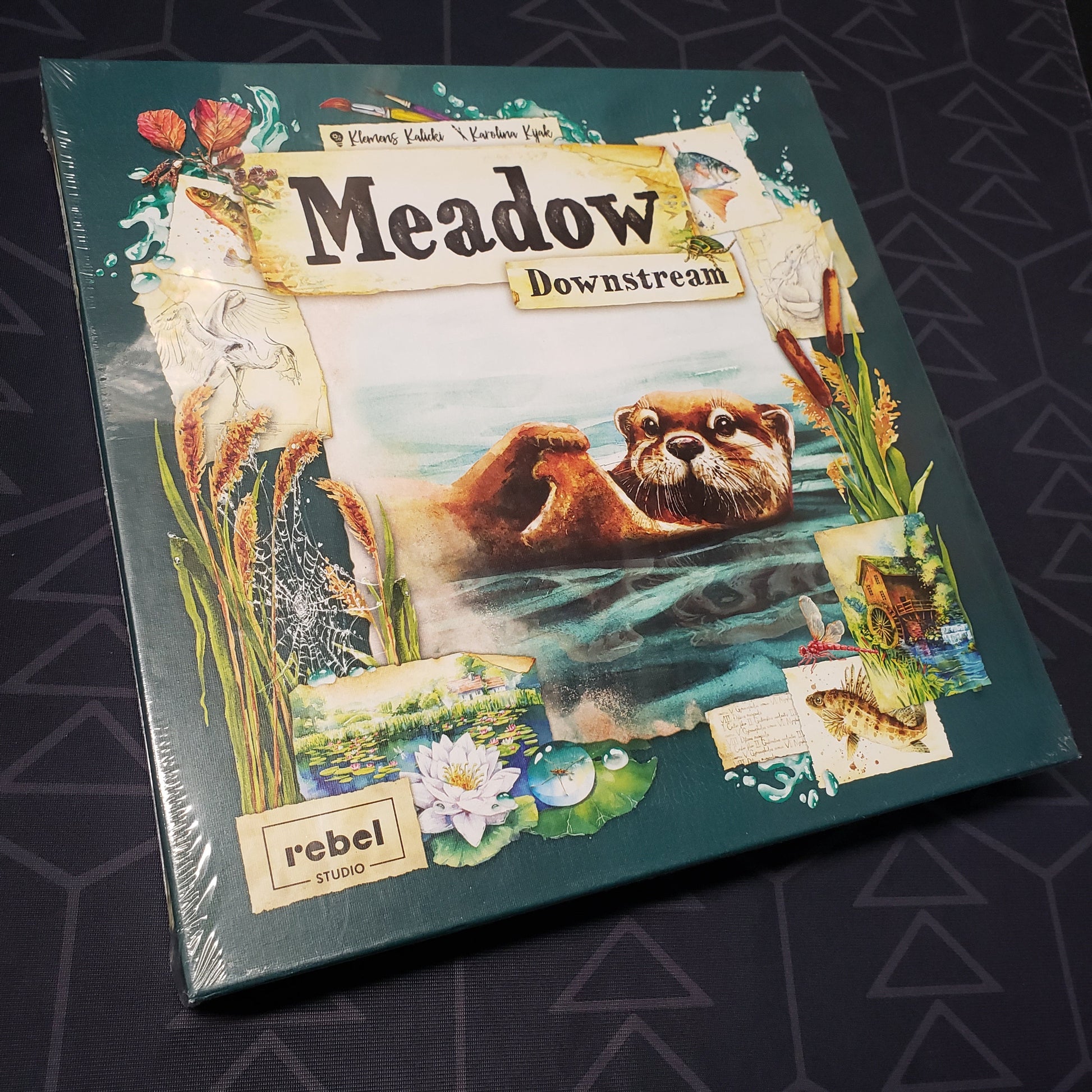 Image shows the front cover of the box of the Downstream expansion for the board game Meadow