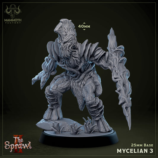 Image shows a 3D render of a fungus warrior gaming miniature