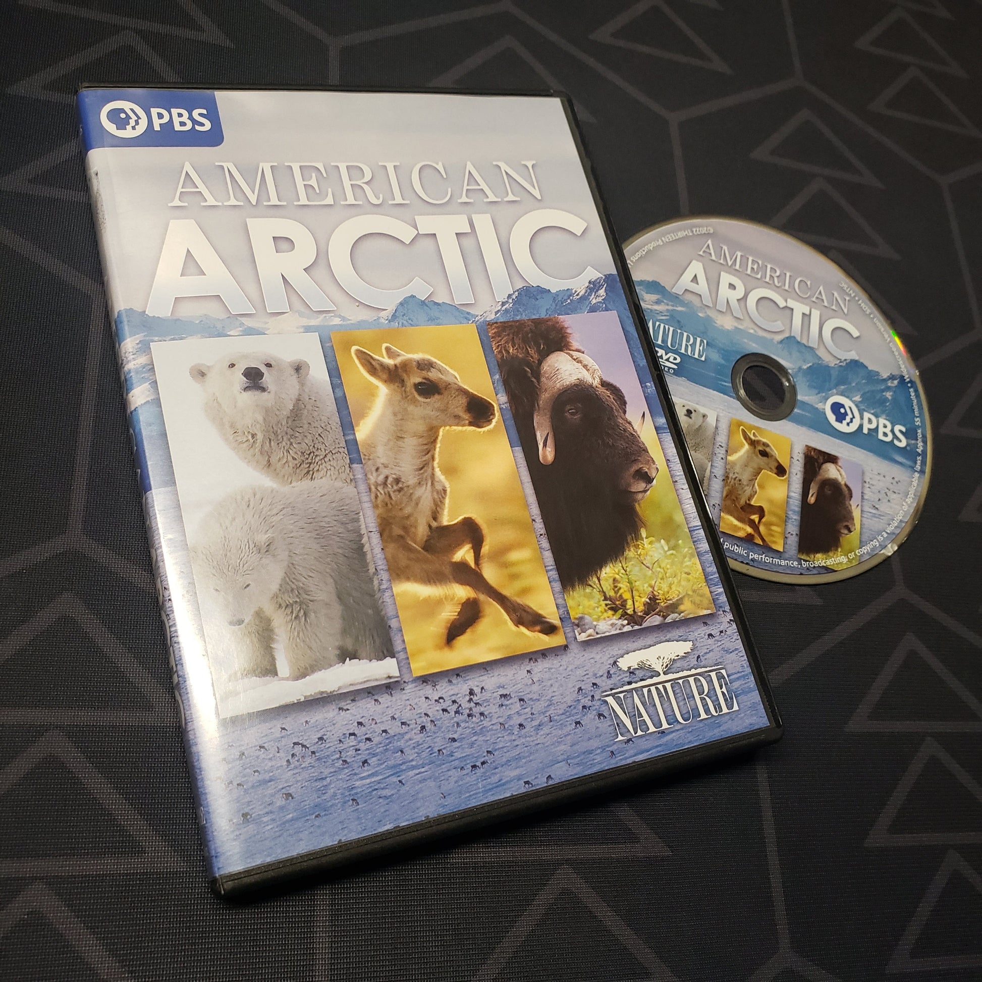 Image shows the case & disc for the movie Nature: American Arctic on DVD