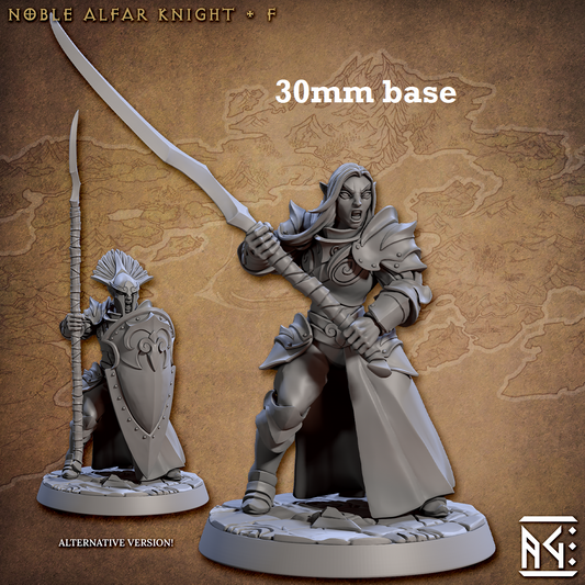 Image shows 3D renders of two different sculpt options for a high elf knight gaming miniature