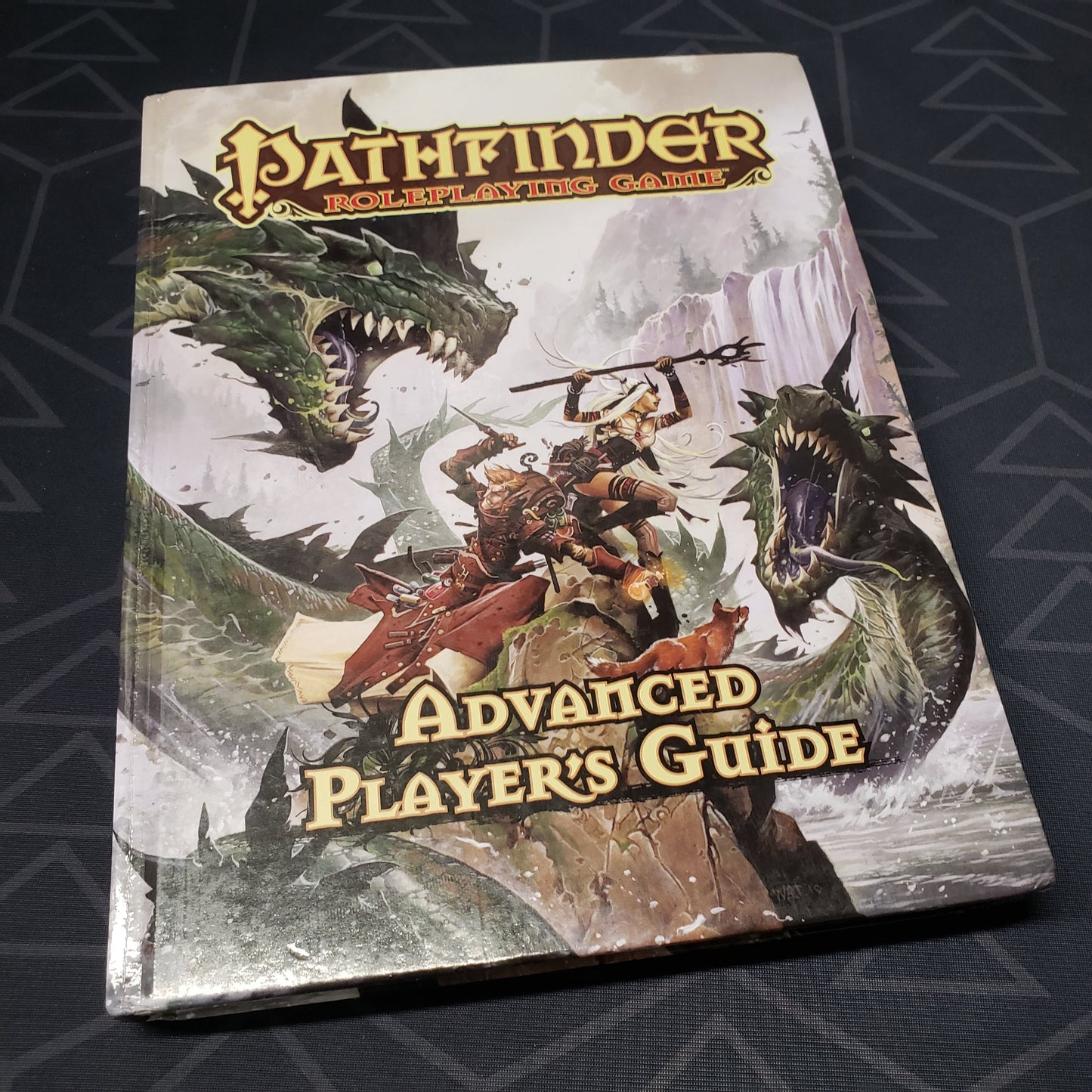 Image shows the front cover of the Advanced Player's Guide book for the Pathfinder 1E roleplaying game