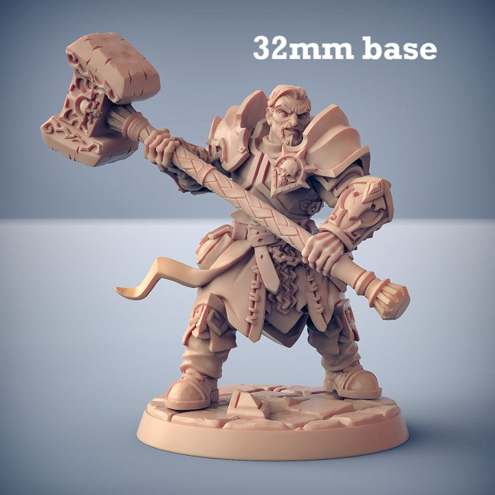 Image shows a 3D render of a human paladin gaming miniature.