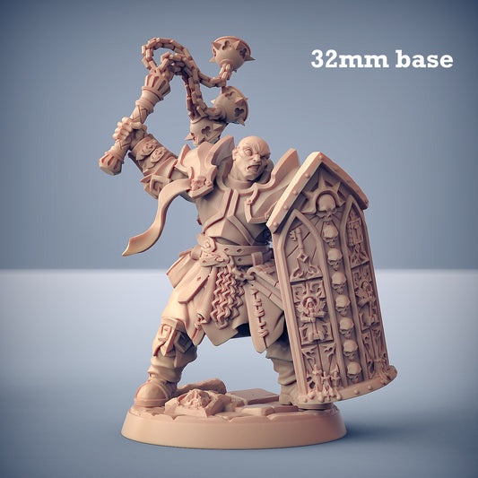 Image shows a 3D render of a human paladin gaming miniature.