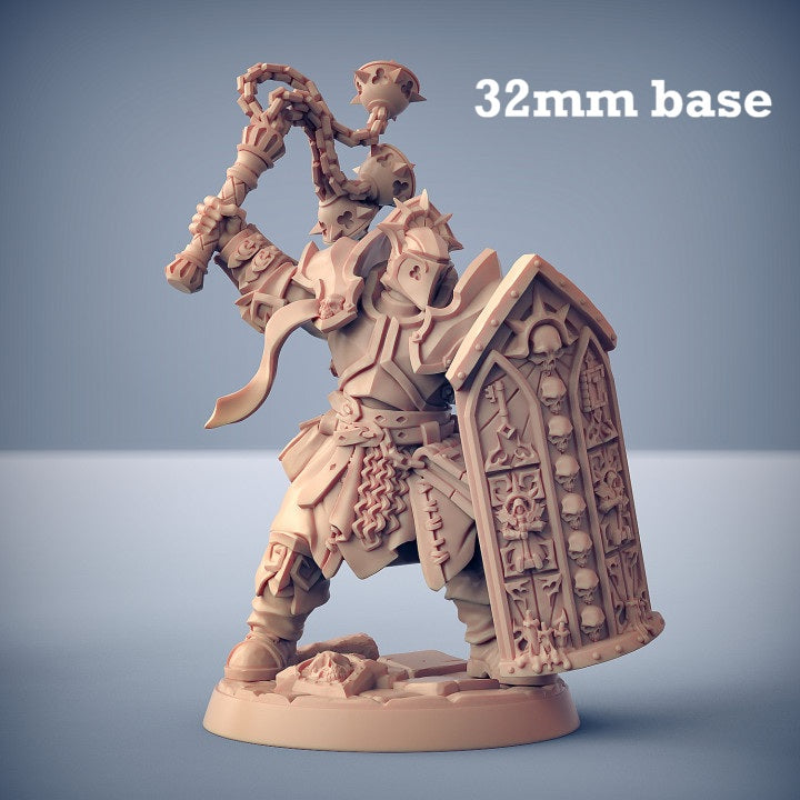 Image shows a 3D render of a human paladin gaming miniature.