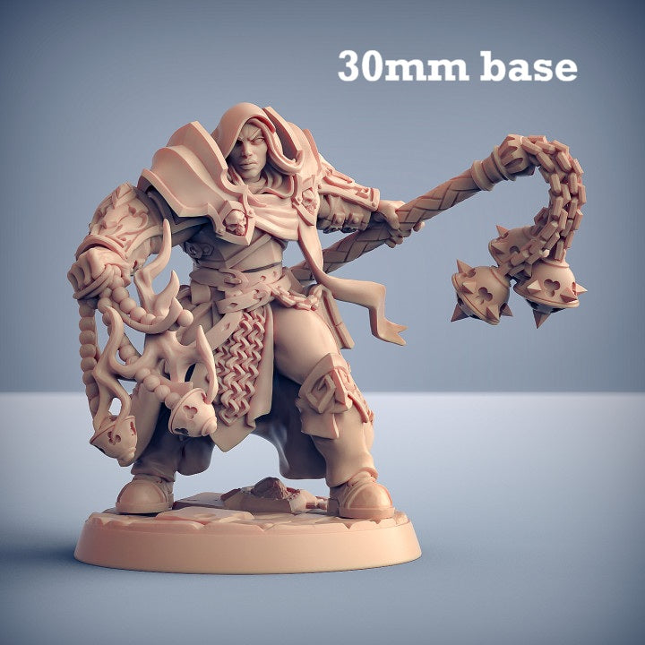Image shows a 3D render of a human paladin gaming miniature.