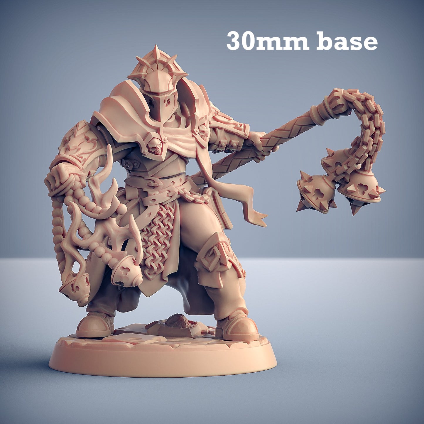 Image shows a 3D render of a human paladin gaming miniature.