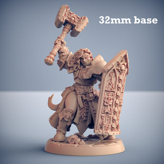 Image shows a 3D render of a human paladin gaming miniature.