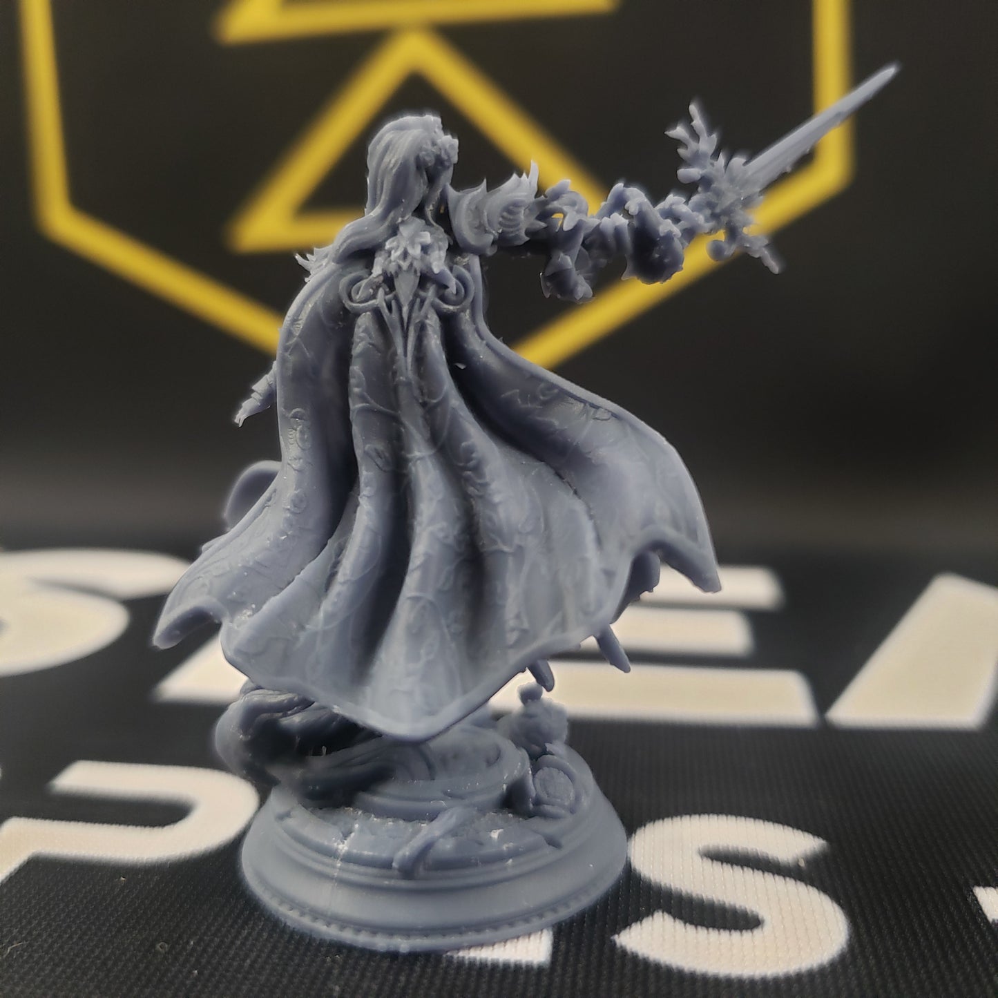 Celathyn, Heir of Elven Hope (Female Elf Paladin)