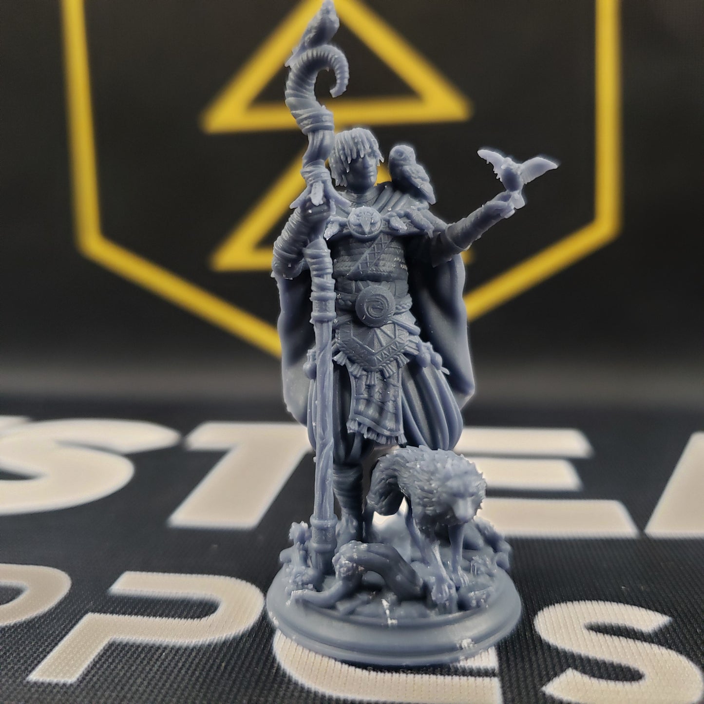 Gwambari, Animal Friend Shaman (Male Human Beastmaster)