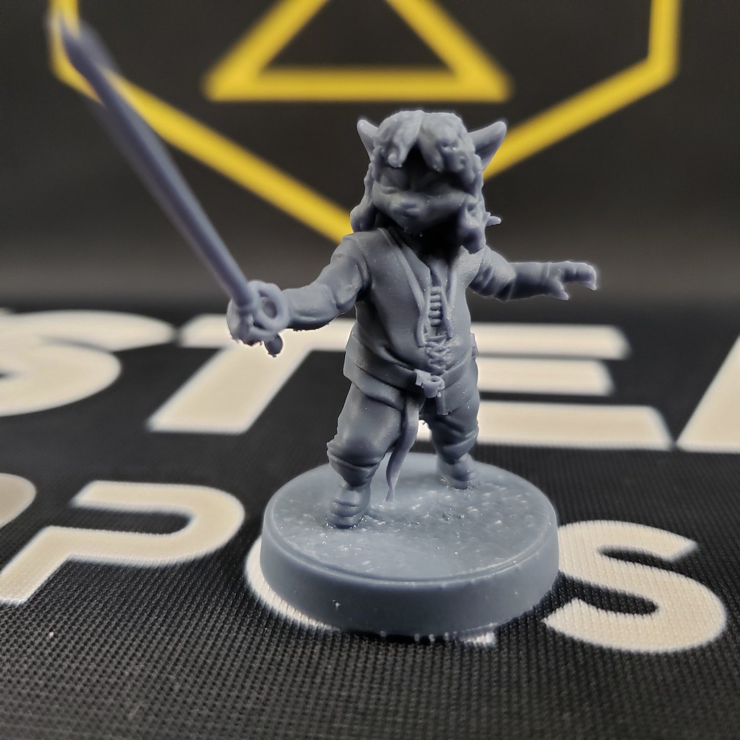 Catigo Montoya (Male Tabaxi Duelist)