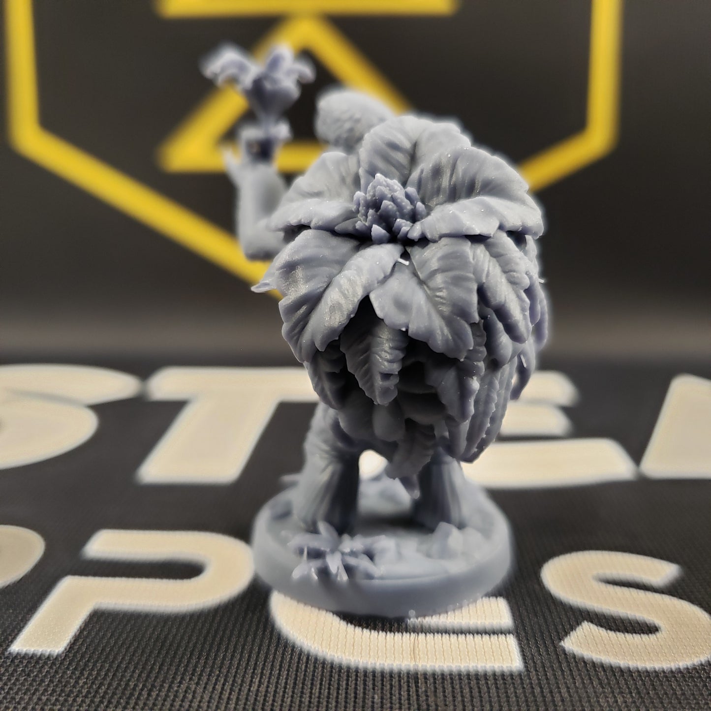 Tortun Lushtender (Tortle Shaman)