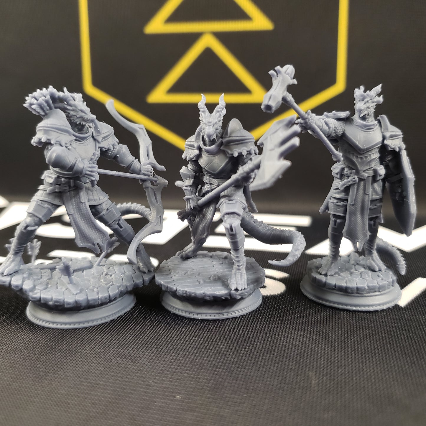 Azmordion's Chosen, Silver Dragonkin Knights (Dragonborn Paladins)