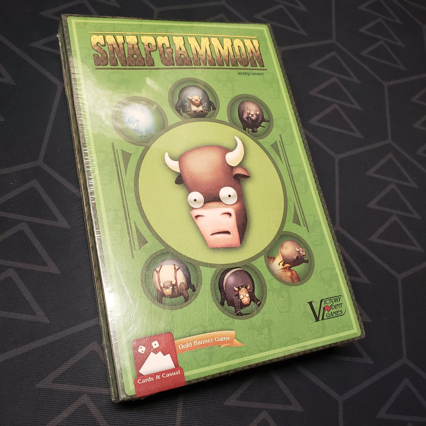 Image shows the front cover of the box for the SnapGammon board game