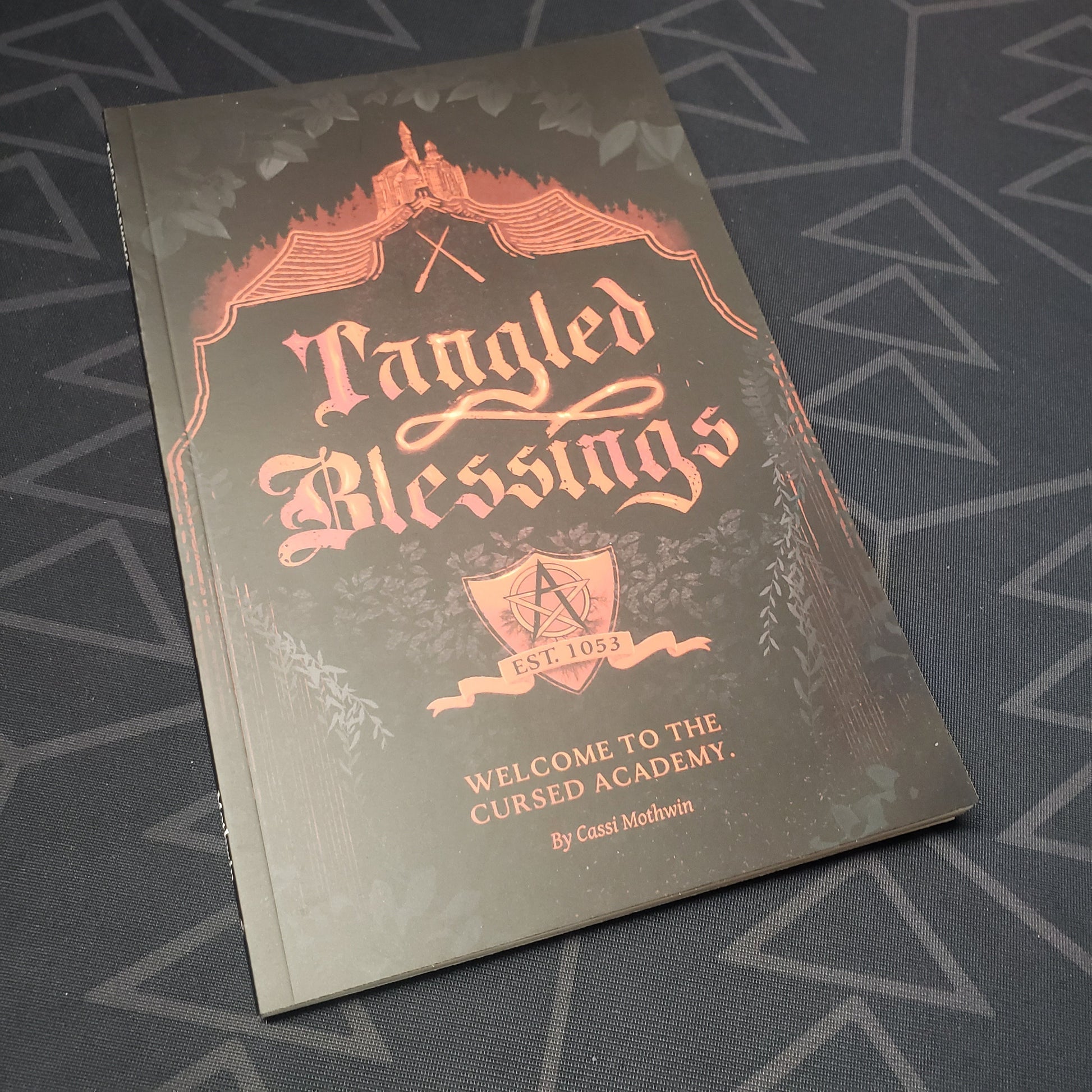 Image shows the front cover of the Tangled Blessings roleplaying game book