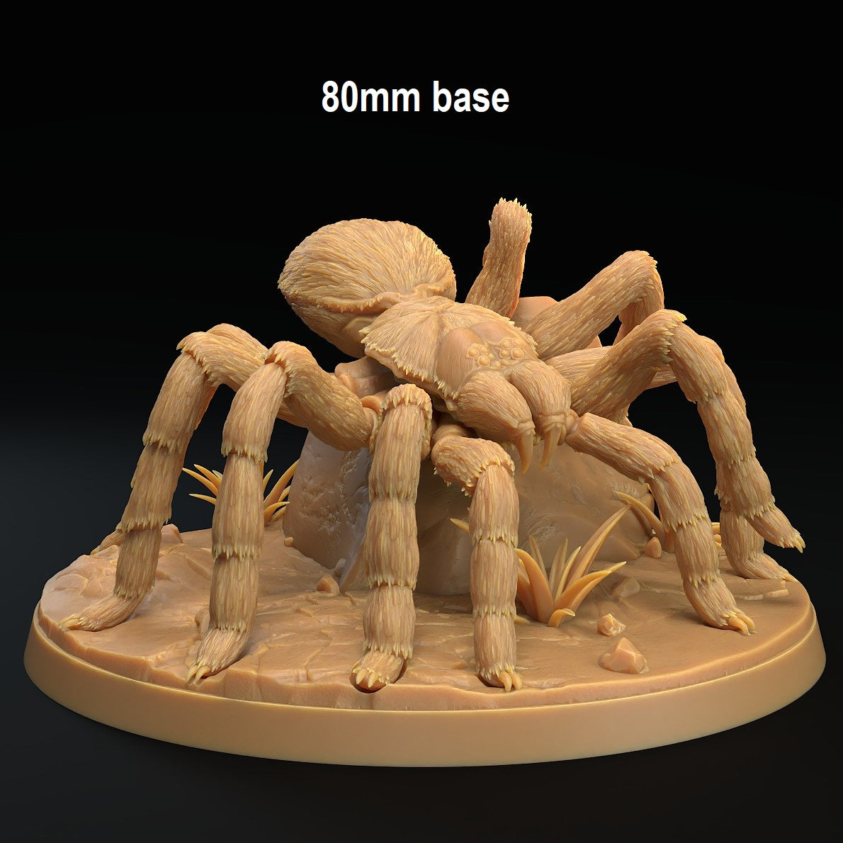 Image shows an 3D render of a tarantula gaming miniature