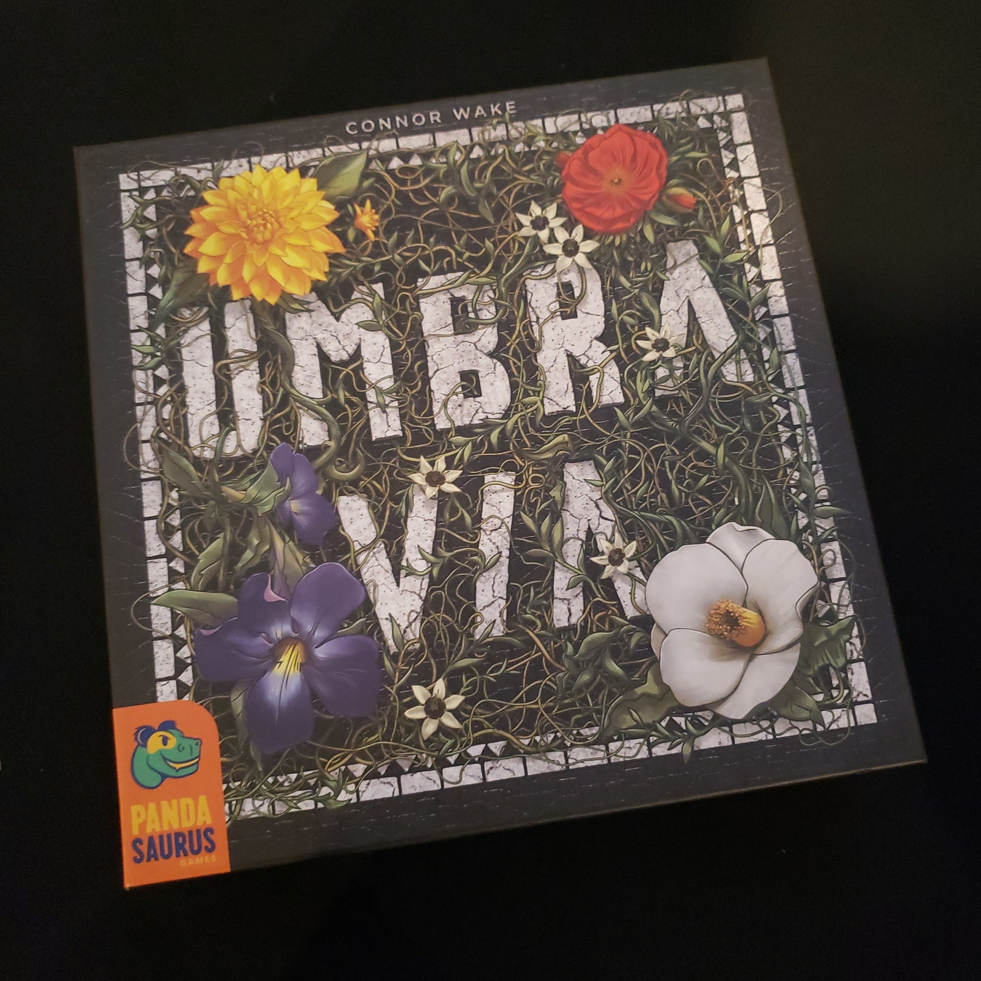 Image shows the front cover of the box of the Umbra Via board game