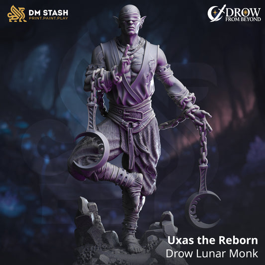 Image shows a 3D render of a drow monk gaming miniature.