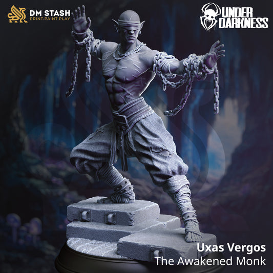 Image shows a 3D render of a drow monk gaming miniature.