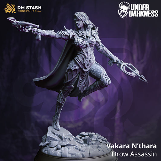 Image shows a 3D render of a drow assassin gaming miniature.