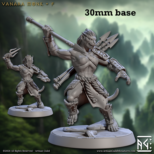 Image shows 3D renders of two sculpt options for a simian monk gaming miniature.