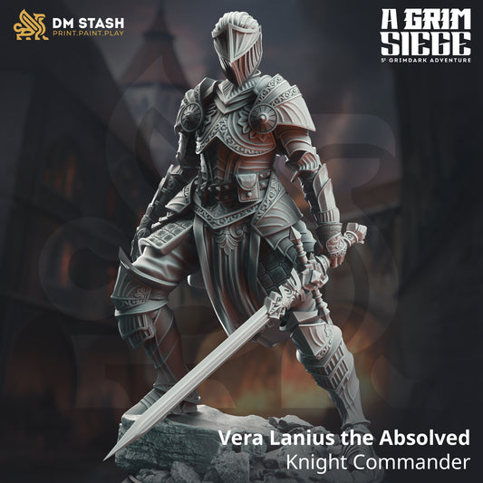 Image shows a 3D render of a human knight gaming miniature.