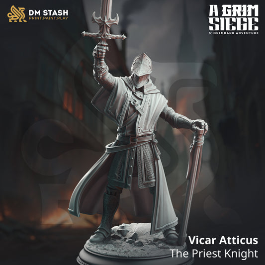 Image shows a 3D render of a human knight gaming miniature.