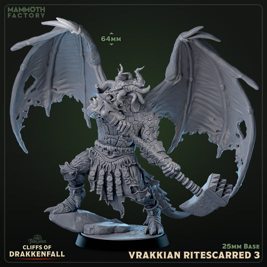 Image shows a 3D render of a winged dragonborn barbarian gaming miniature.