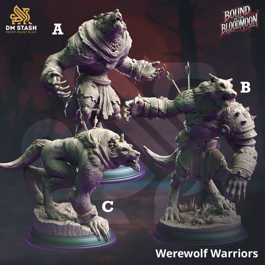 Image shows 3D renders of three different sculpt options of a werewolf warrior gaming miniature