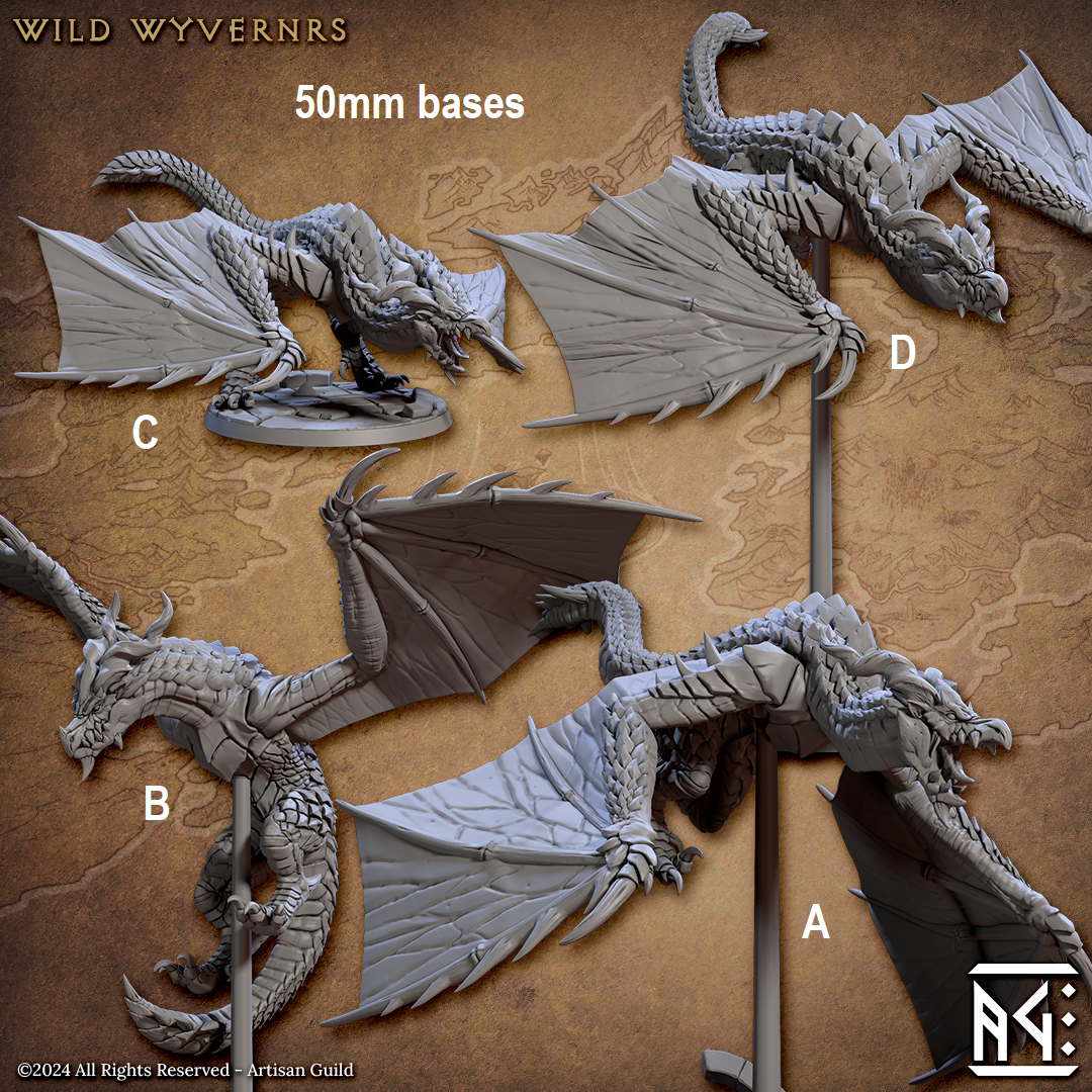 Image shows 3D renders of four different options for a wild wyvern gaming miniature