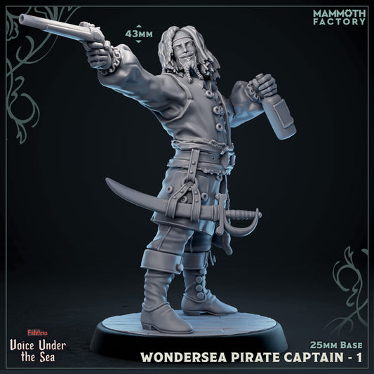 Image shows a 3D render of a human pirate gaming miniature.