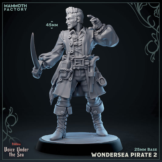 Image shows a 3D render of a human pirate gaming miniature.