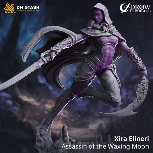Image shows a 3D render of a drow assassin gaming miniature.